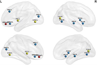 A Comparative Study of Structural and Metabolic Brain Networks in Patients With Mild Cognitive Impairment